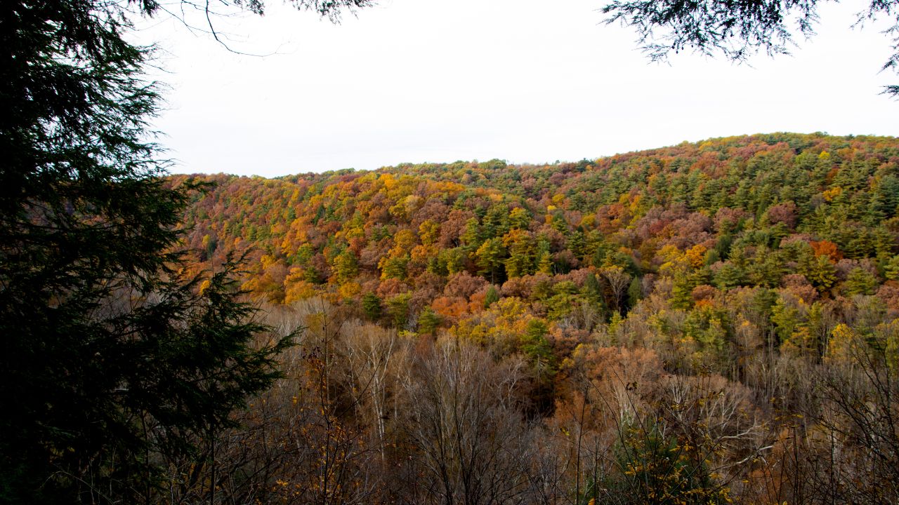 mohican state park scenic drive 01
