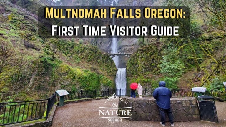 Beginners Guide to Multnomah Falls Oregon