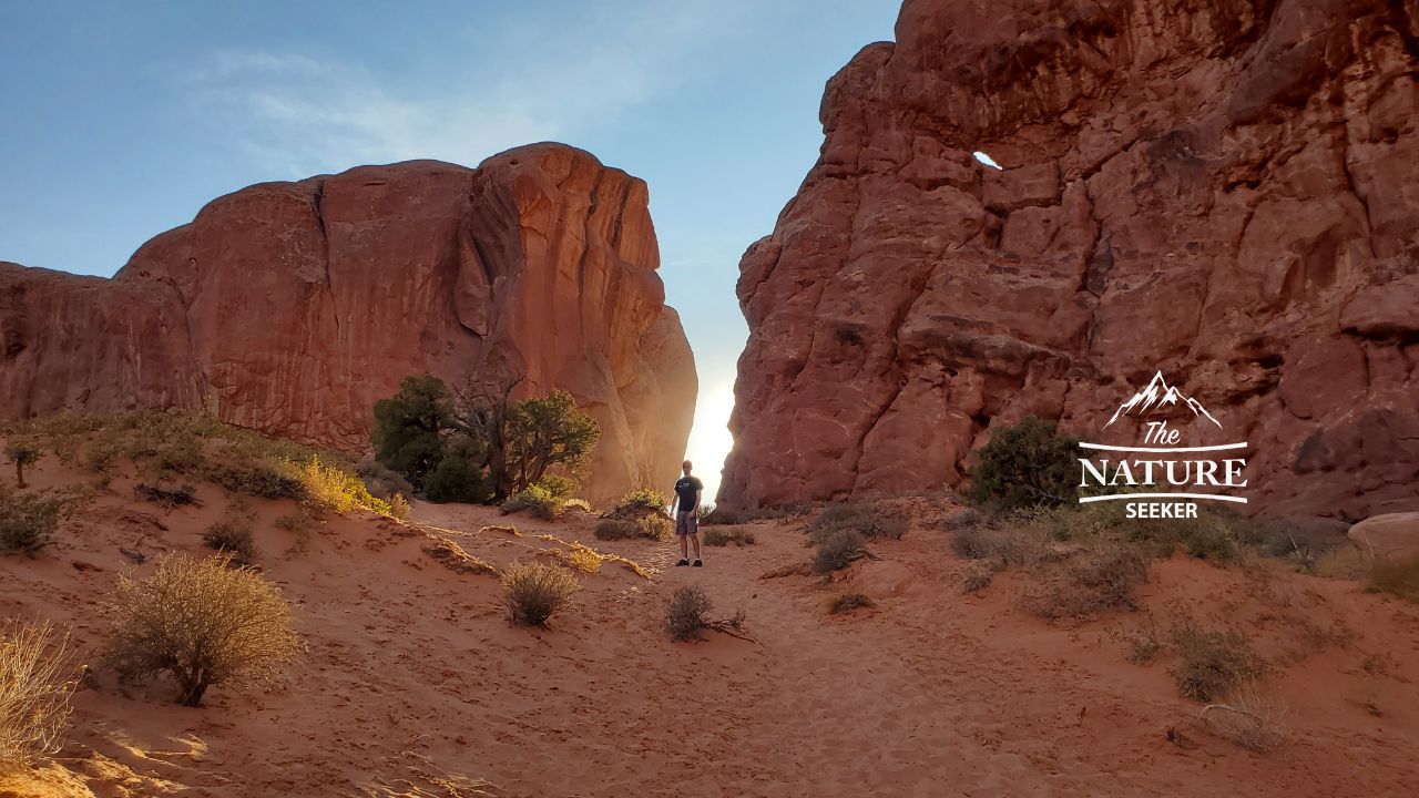 photos of arches national park close to the windows trail