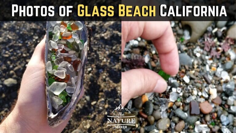 10 Beautiful Photos of Glass Beach California