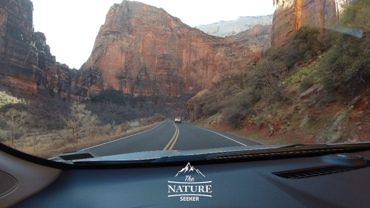 photos of zion national park canyon scenic drive