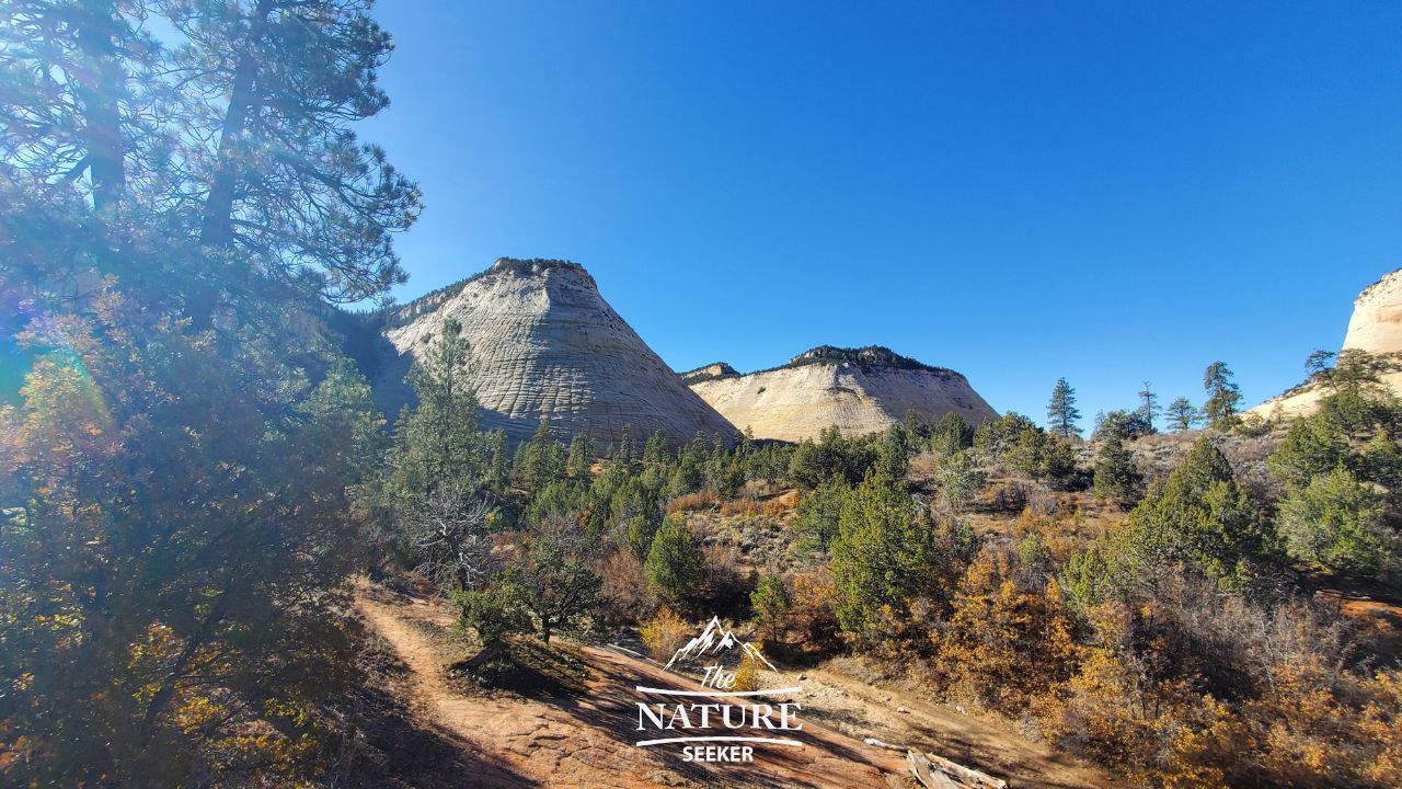 photos of zion national park checkerboard mesa