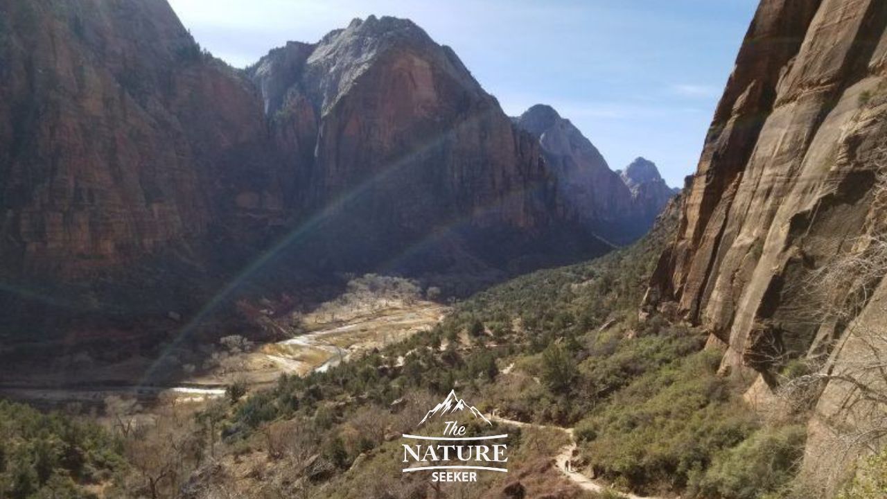 photos of zion national park west rim trail