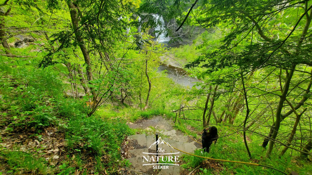 salmon river falls gorge trail view