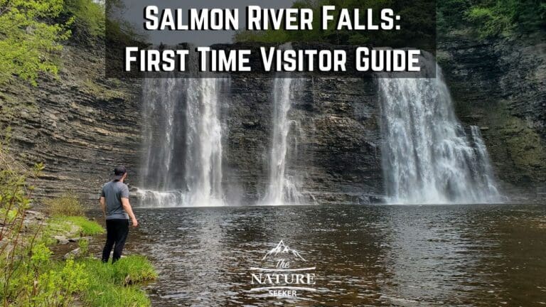 A Salmon River Falls Guide For Your First Visit