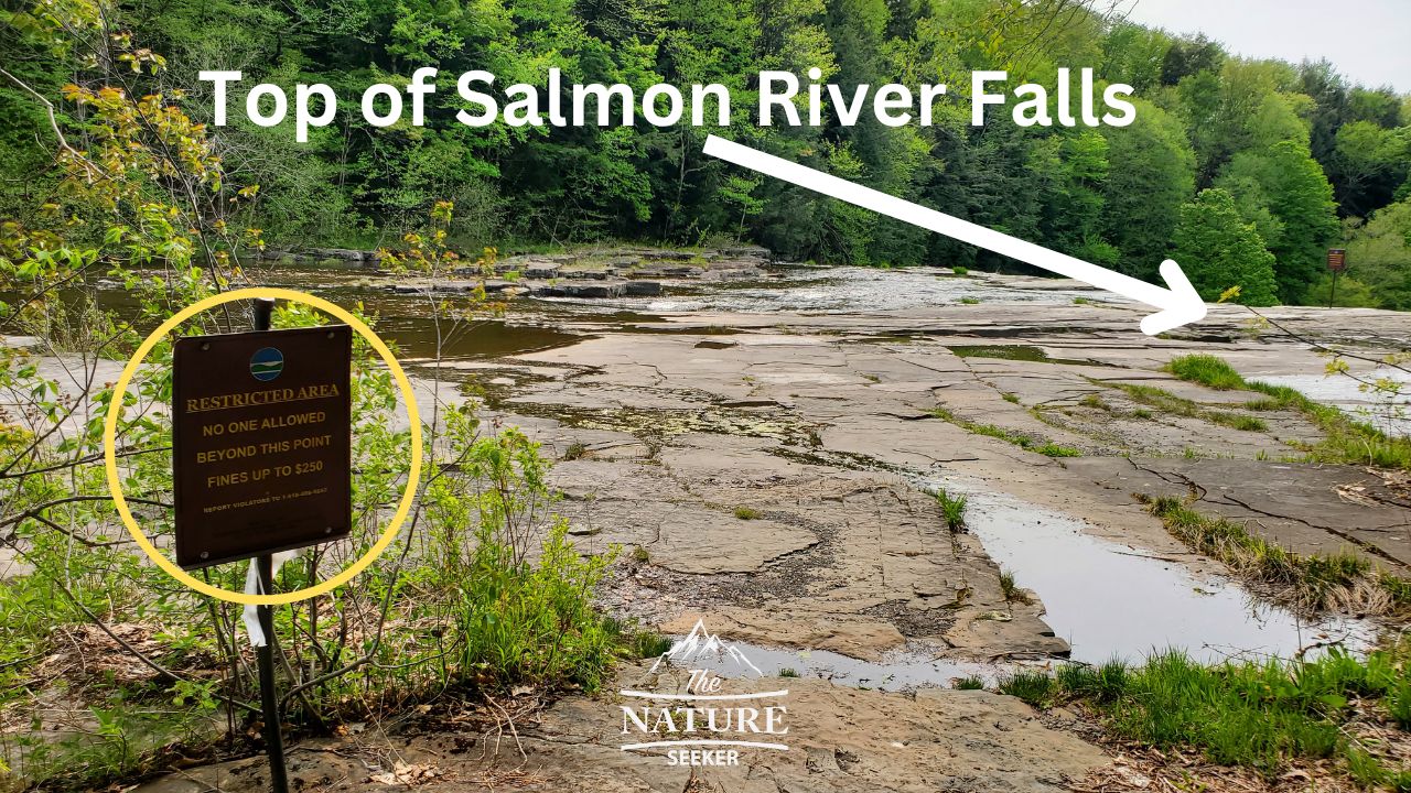 salmon river falls trail overlook