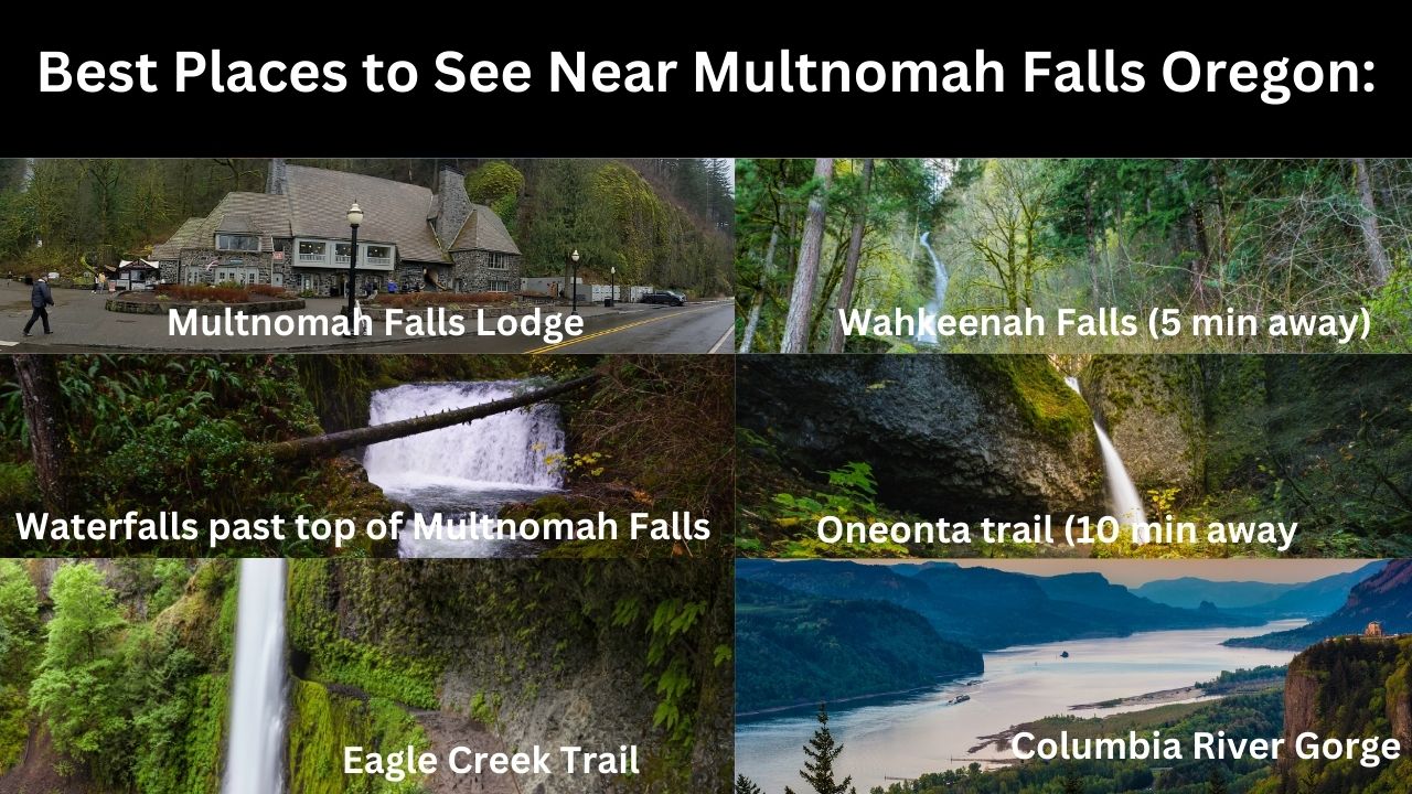 things to do near multnomah falls new 06