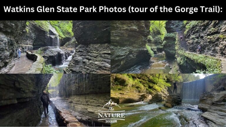 11 Watkins Glen State Park Photos From The Gorge Trail