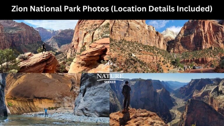 13 Stunning Zion National Park Photos With Location Details