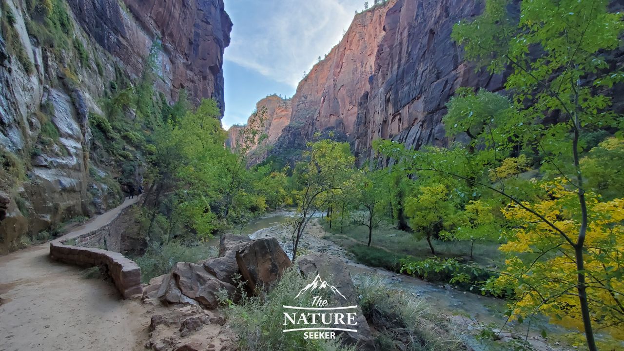 zion national park photos fall foliage