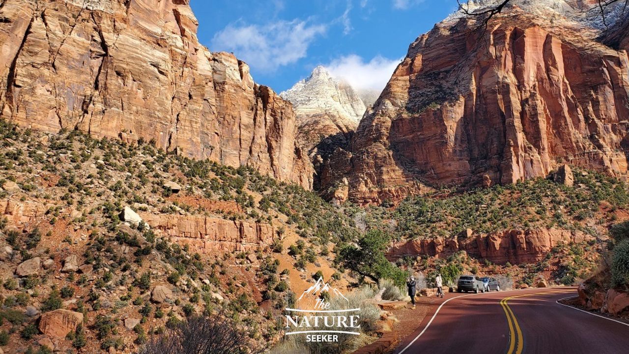 zion national park photos scenic drive road 9