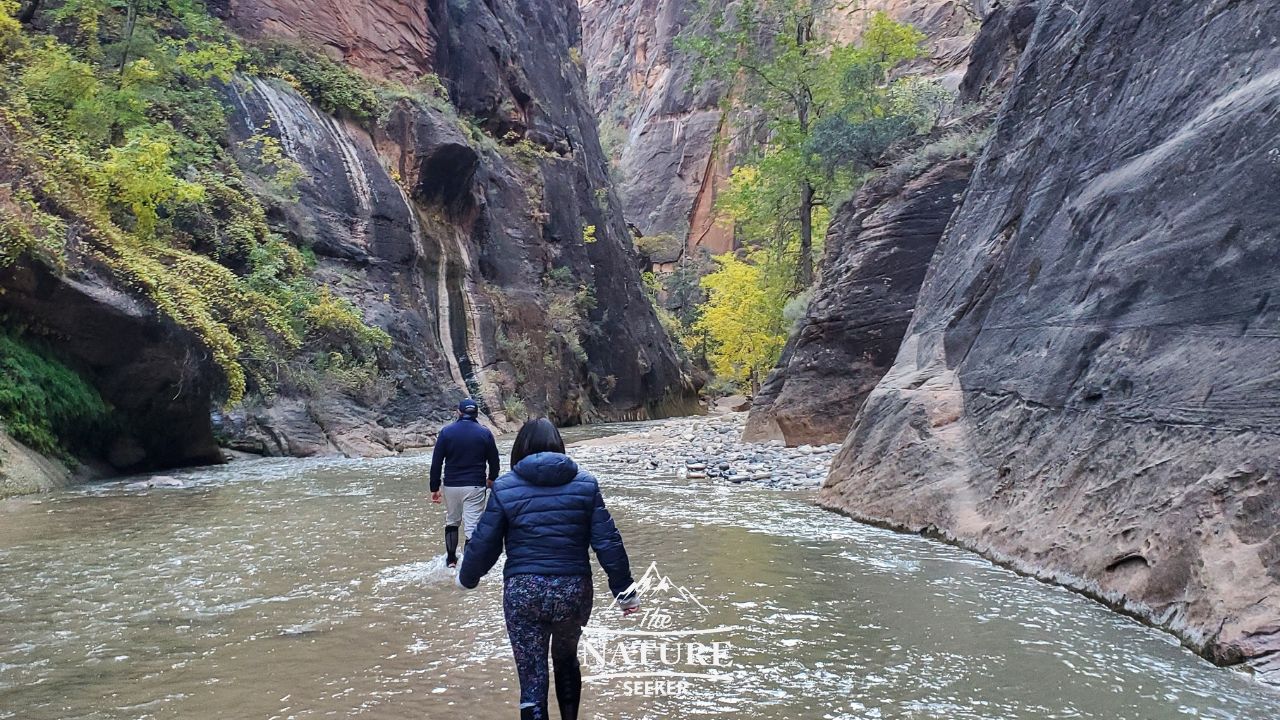 zion national park photos the narrows 01