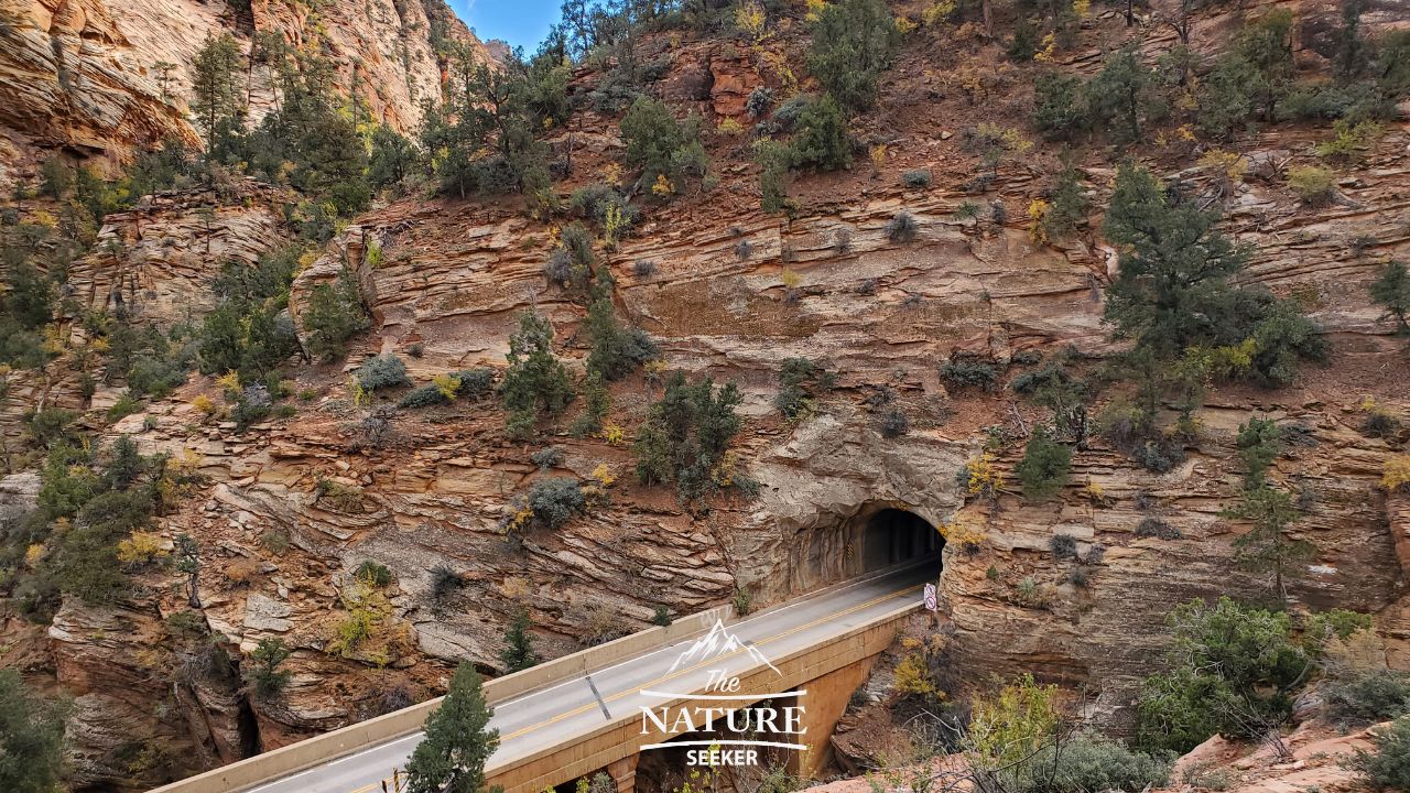 zion national park tunnel photo