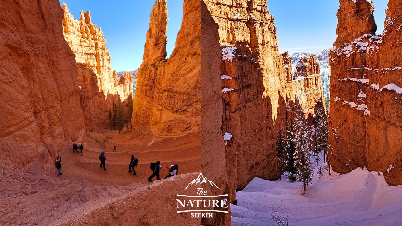 bryce canyon national park photos main hike