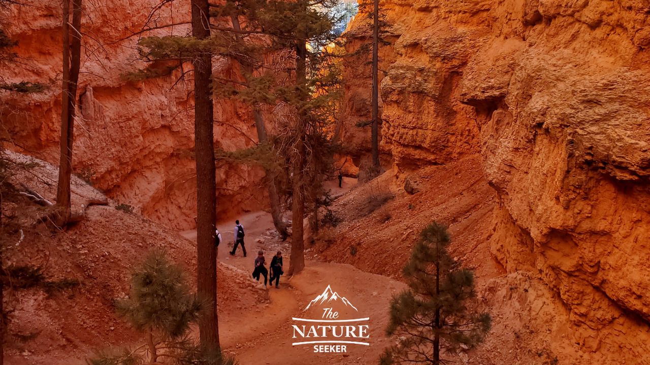 bryce canyon national park photos navajo trail