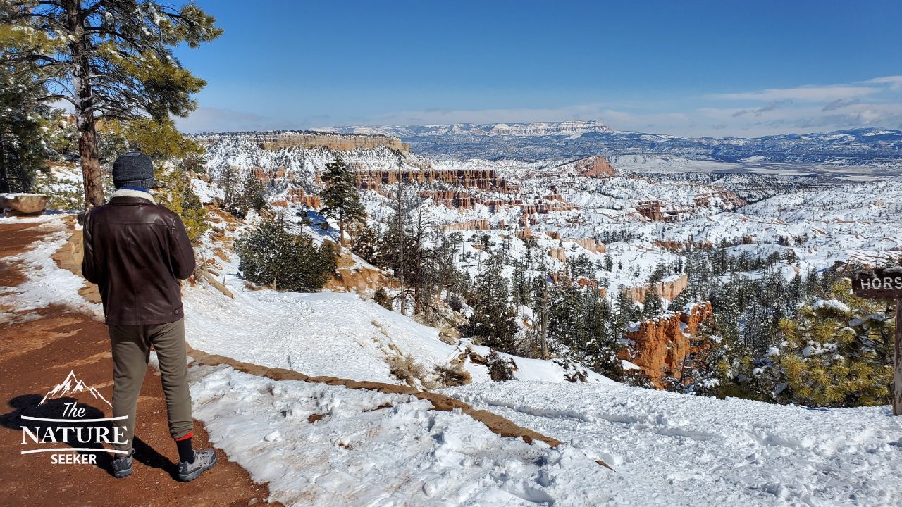 bryce canyon national park photos observation area