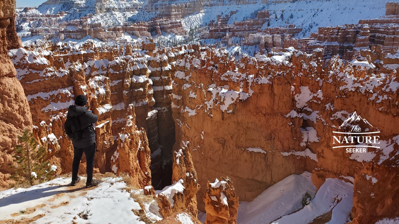 bryce canyon national park photos overlook