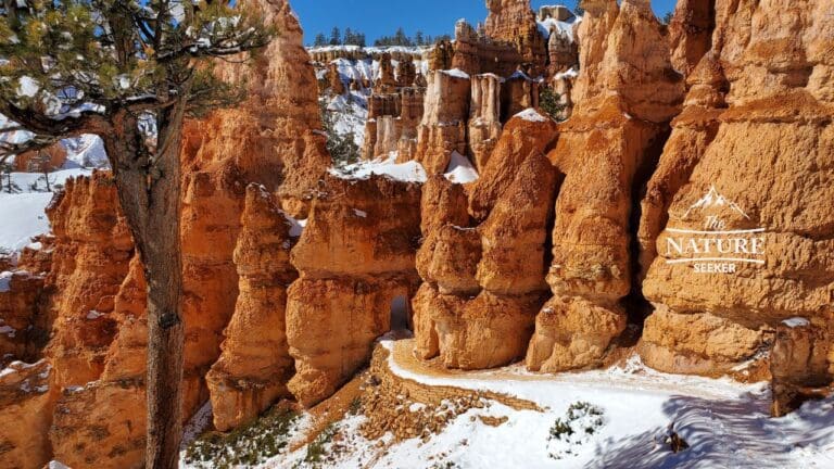 bryce canyon national park photos winter