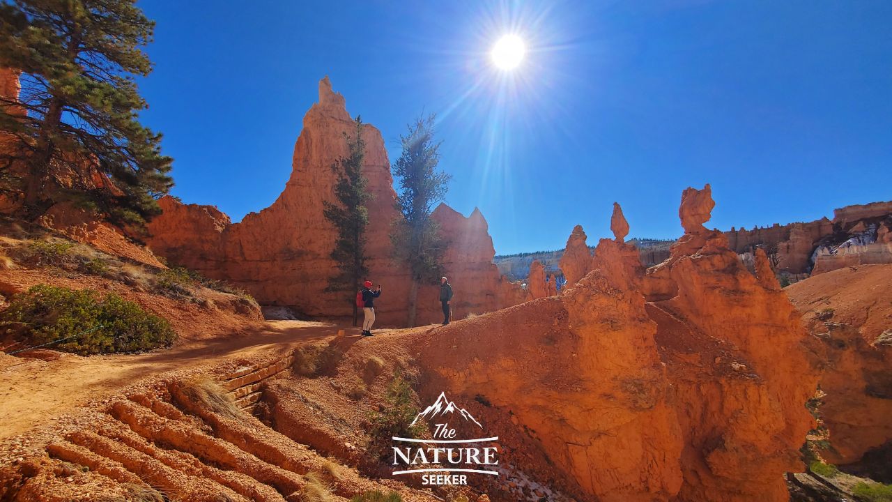 bryce canyon photo of main trail