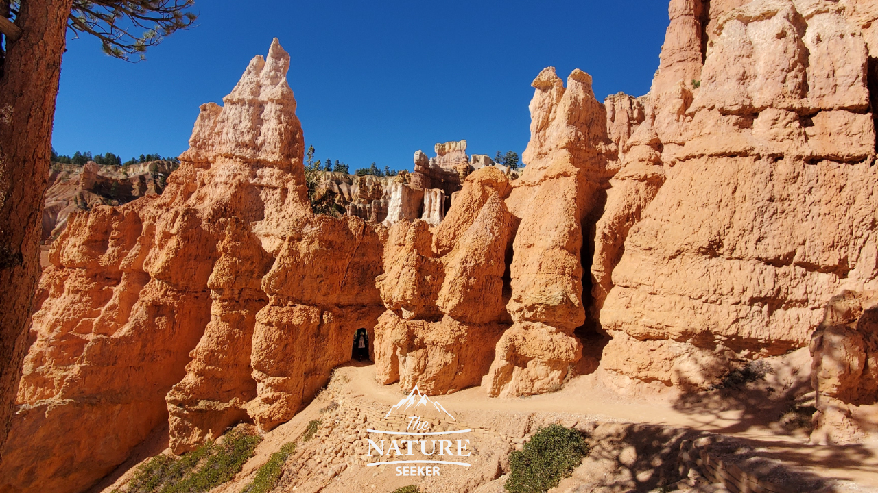 bryce canyon photos