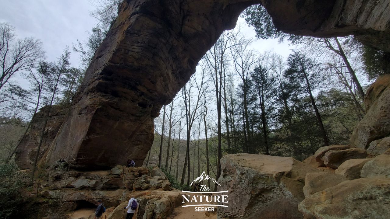 grays arch red river gorge trail photo