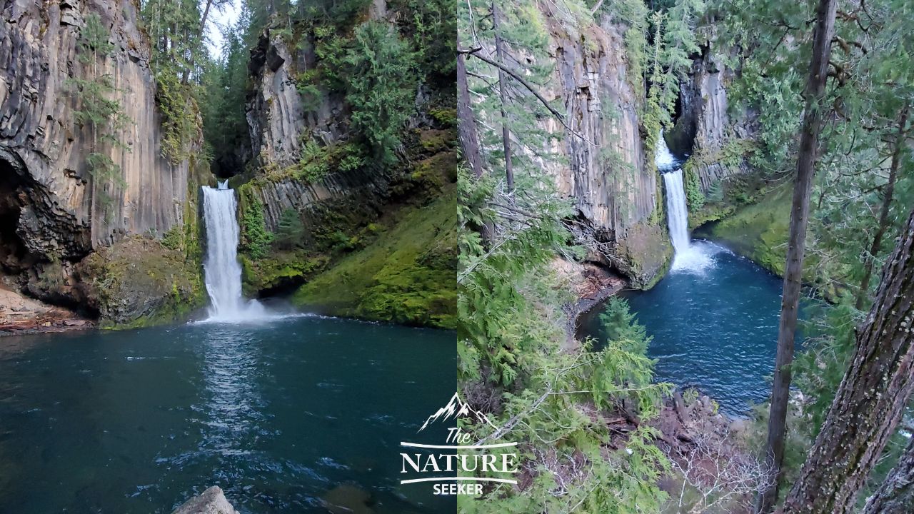 hike to toketee falls oregon