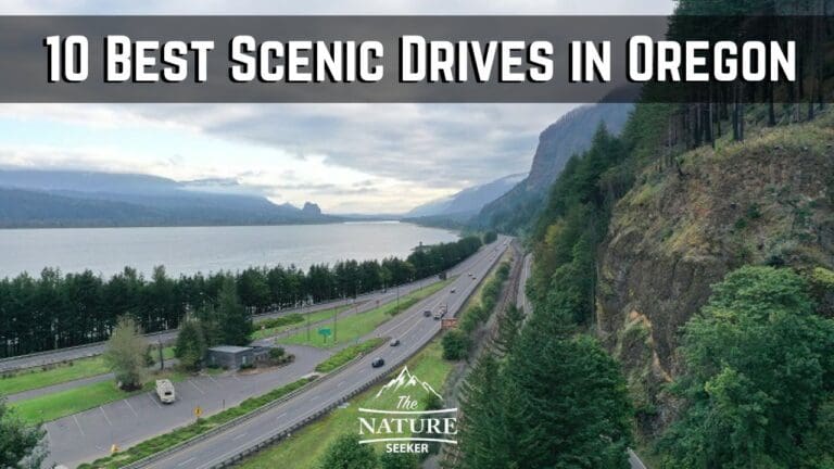 10 Best Oregon Scenic Drives to Take a Road Trip Through