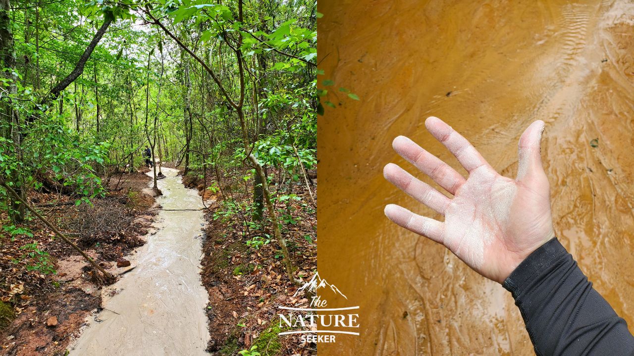 photos of providence canyon hiking