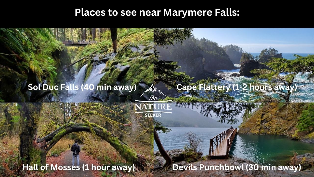 places to see near marymere falls wa