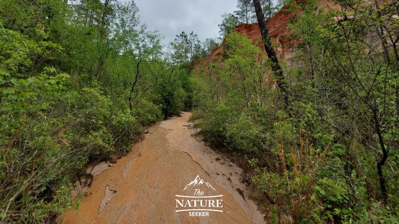 providence canyon photos of bottom level hike