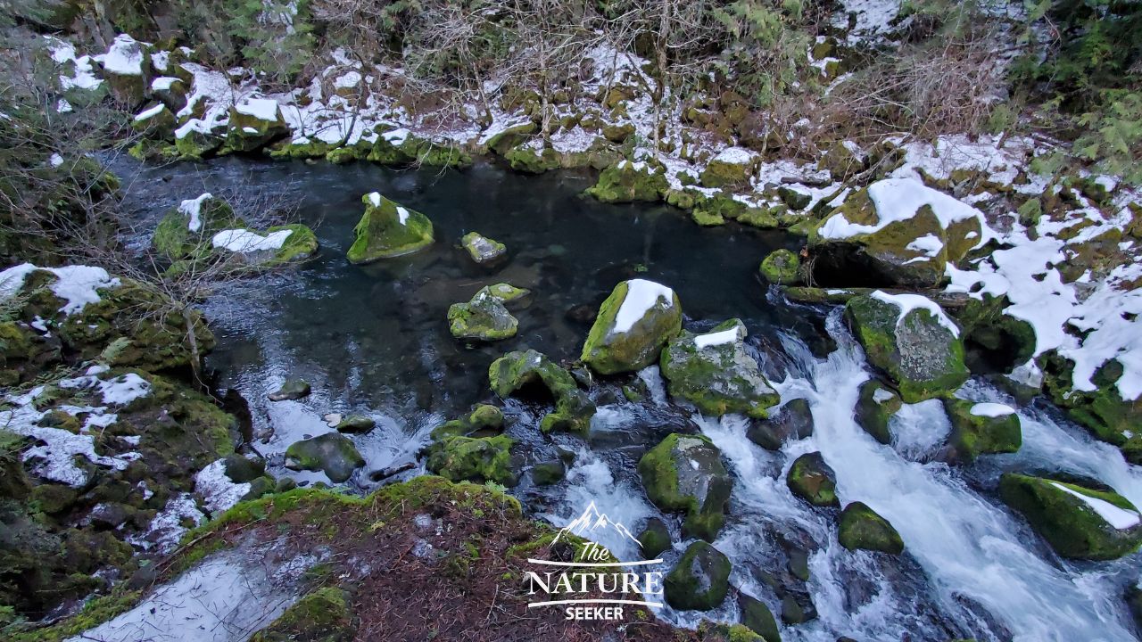 toketee falls oregon trail hike