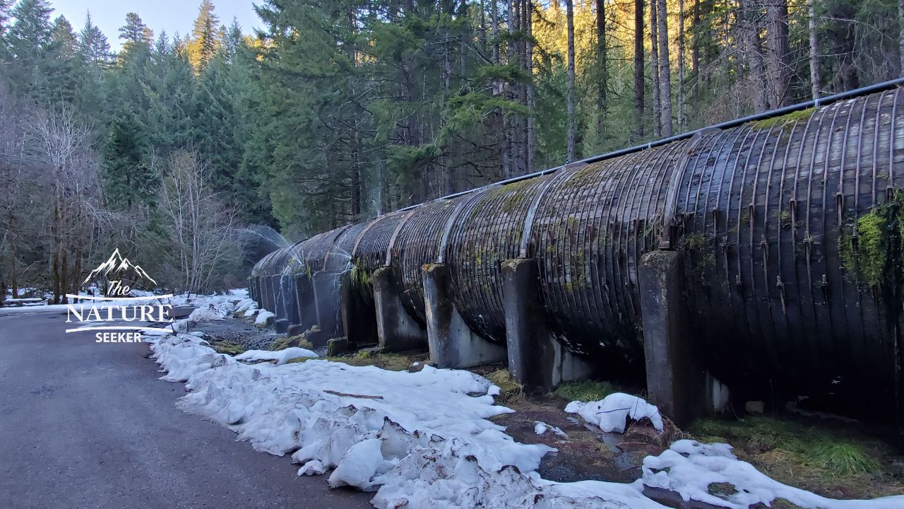 toketee falls oregon trailhead