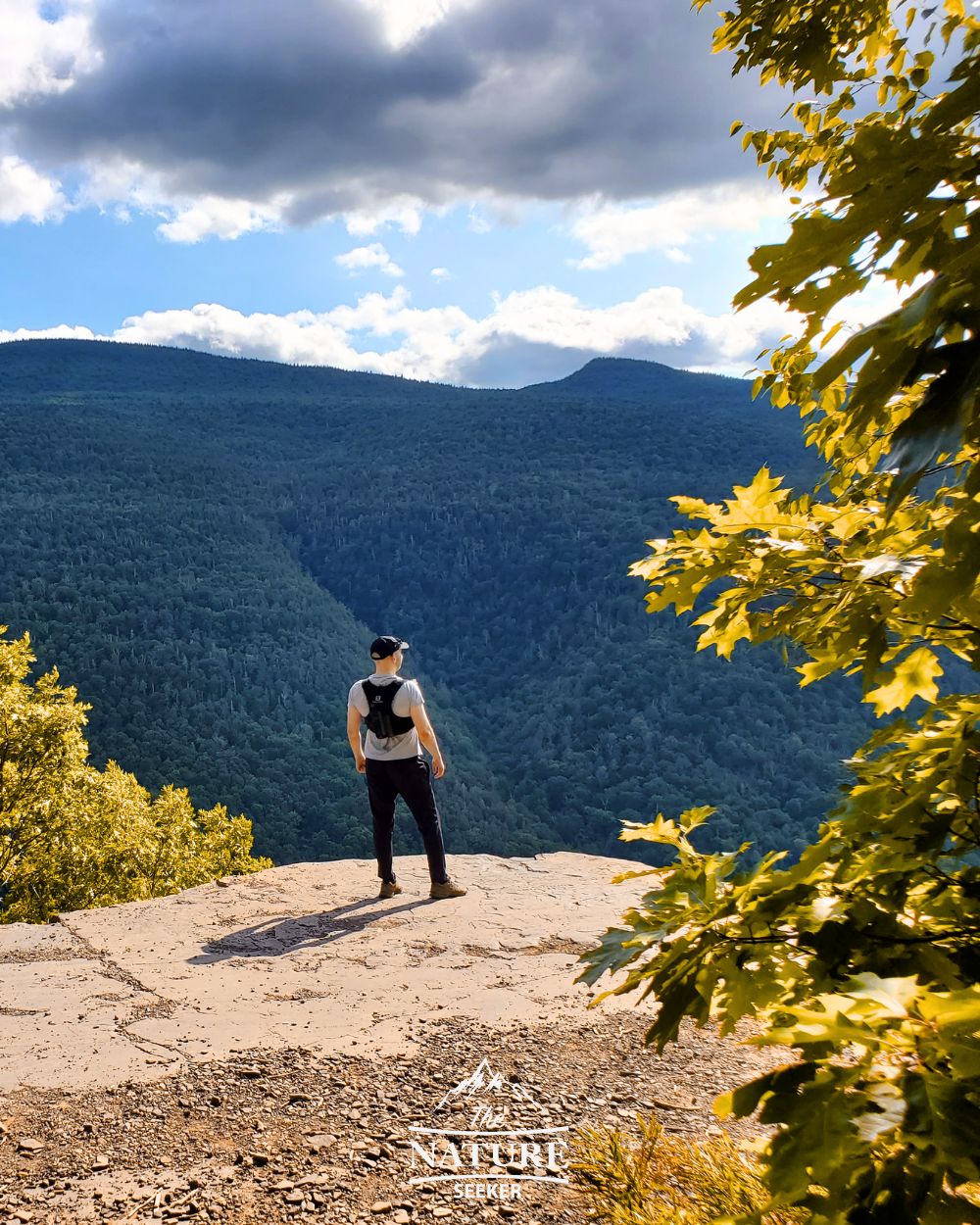 catskills fall foliage artist rock