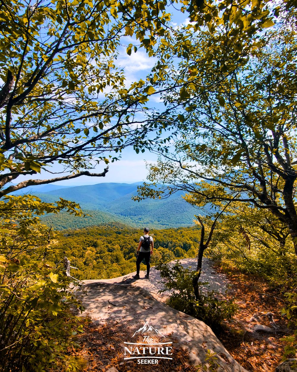 catskills fall foliage giant ledge