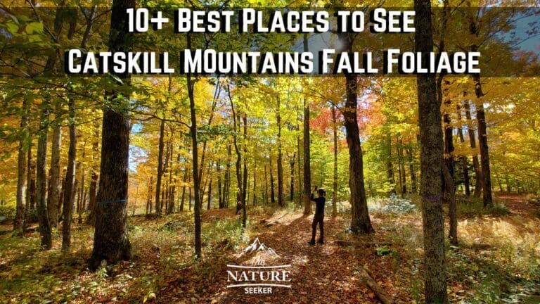 Best Places to Catch Catskills Fall Foliage