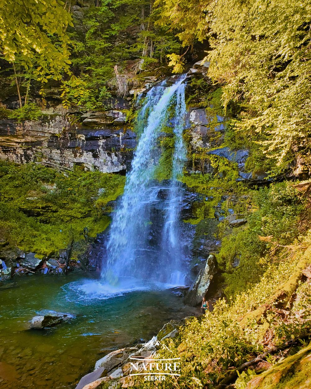 catskills fall foliage of plattekill falls