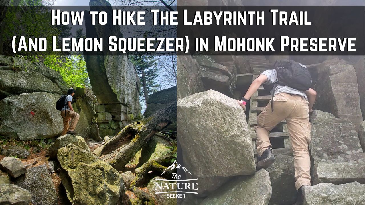 how to hike the labyrinth trail mohonk preserve
