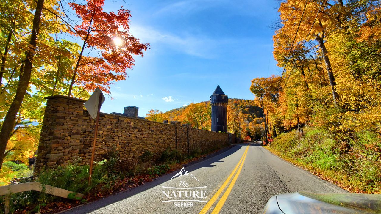 Scenic Tree Lined Country Road In The Catskill Mountains Of