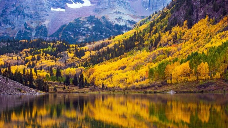 colorado fall foliage