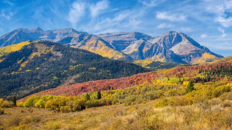 utah fall foliage