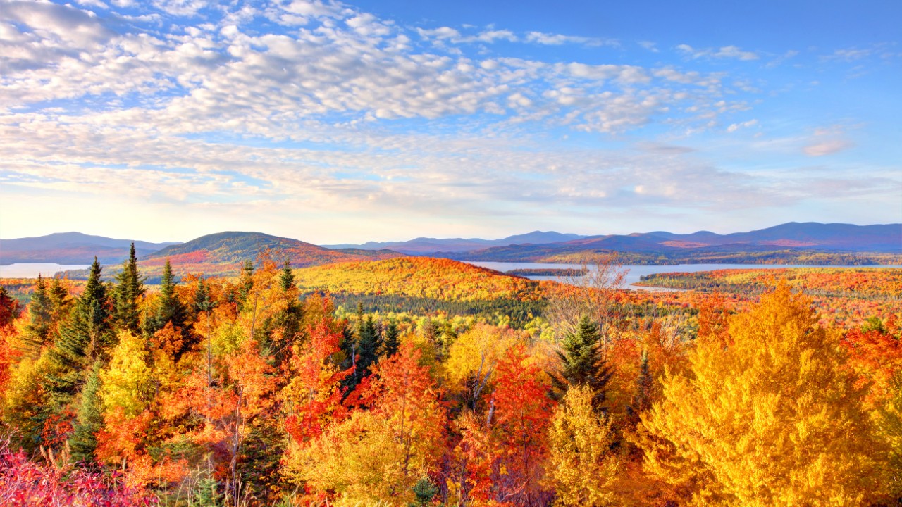 10 Best Maine Fall Foliage Road Trips To Take in 2025