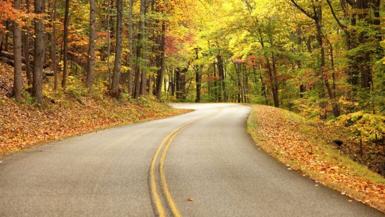 Blue Ridge Parkway: A First Time Visitor Guide