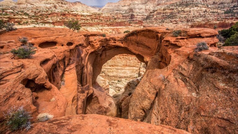 Capitol Reef National Park: A First Time Visitor Guide