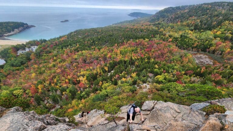 Maine fall foliage