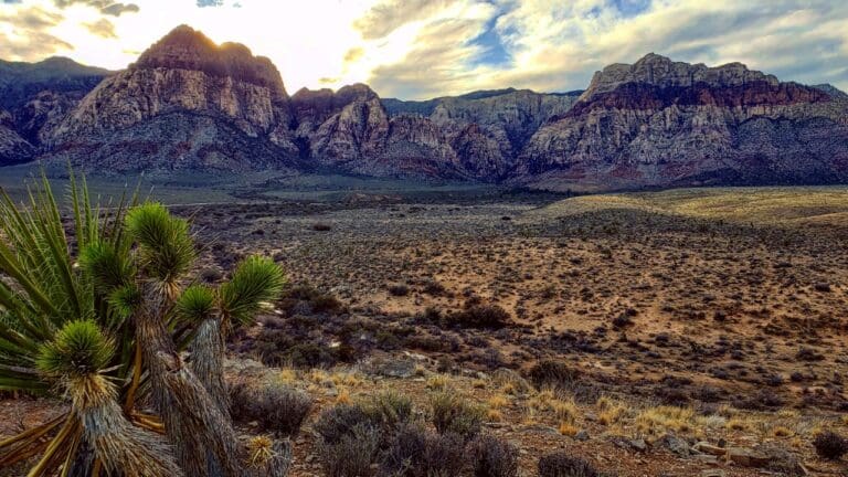 Red Rock Canyon