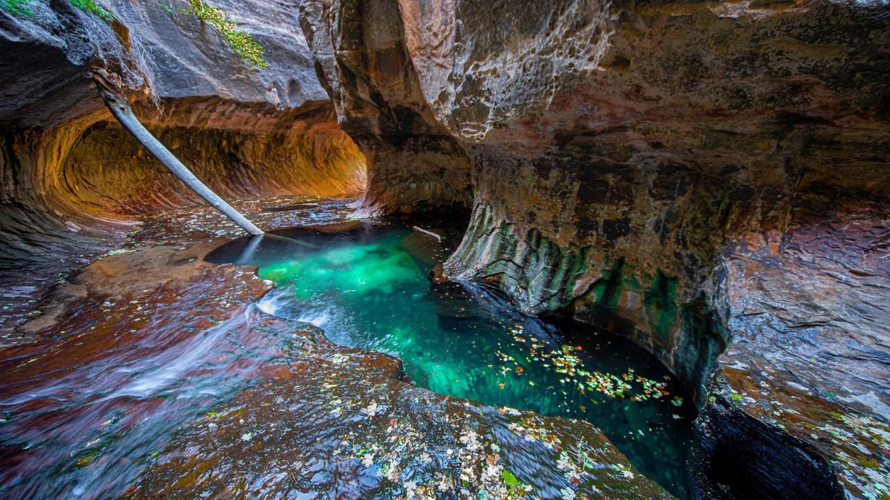 Zion National Park Hikes