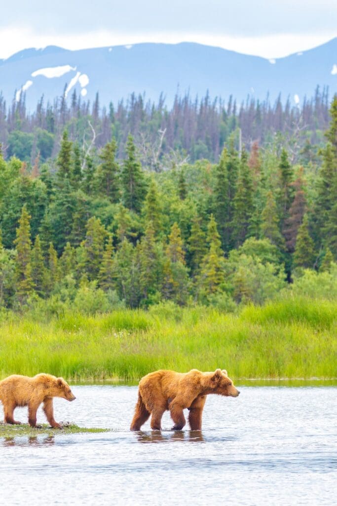 Katmai National Park