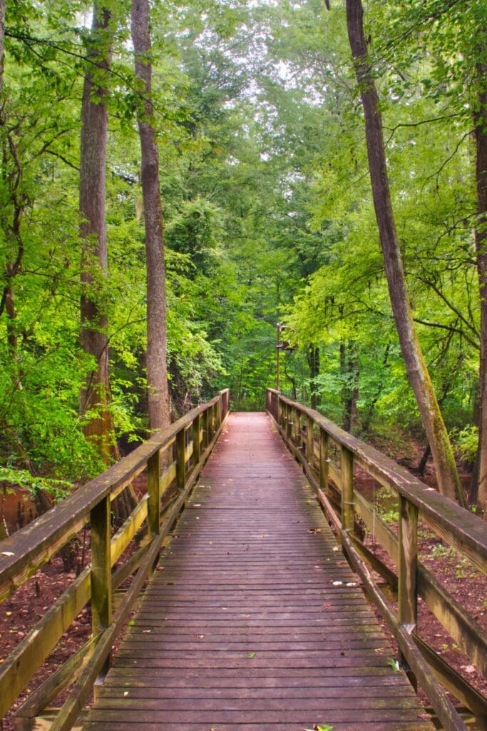 Congaree National Park