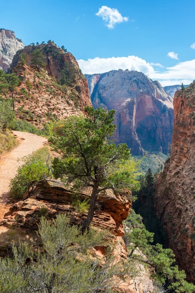 Zion National Park