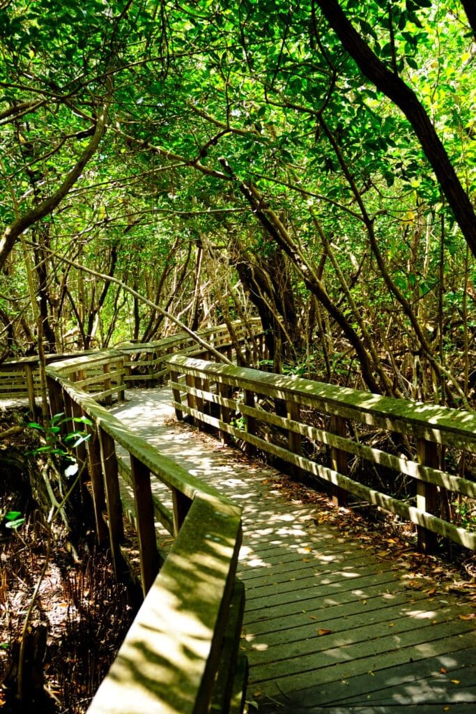 Everglades National Park